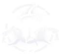 [Translate] 炎缚烬决